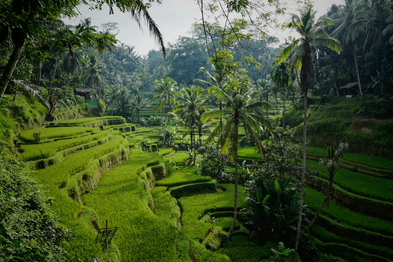 Bali, isla de los dioses - Imagen 2