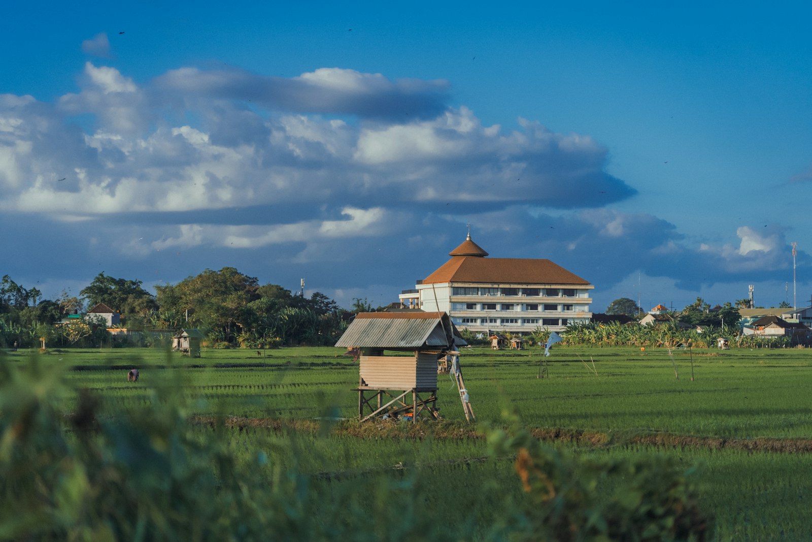 Bali, isla de los dioses - Imagen 4