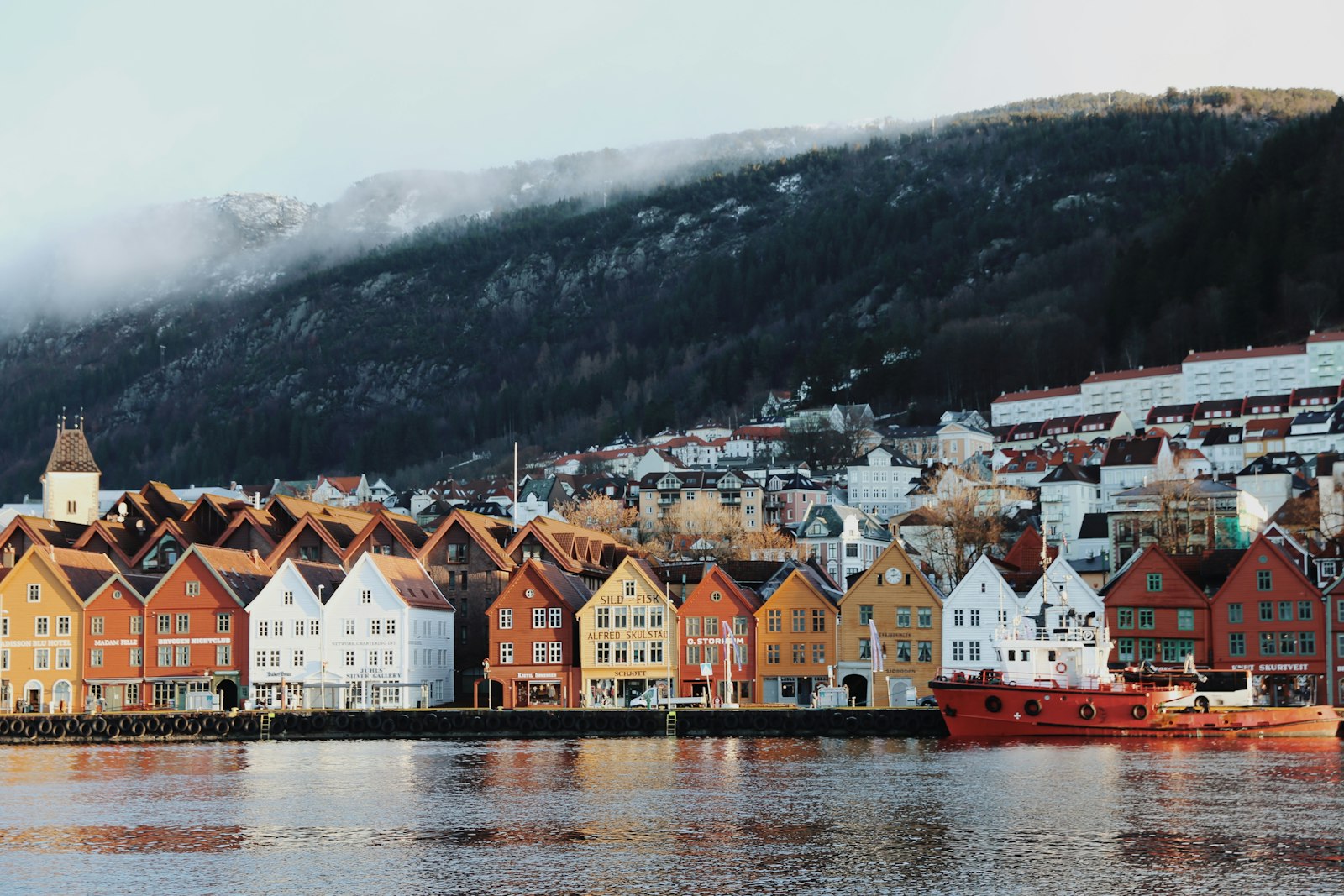 Crucero por los Fiordos Noruegos - Imagen 3