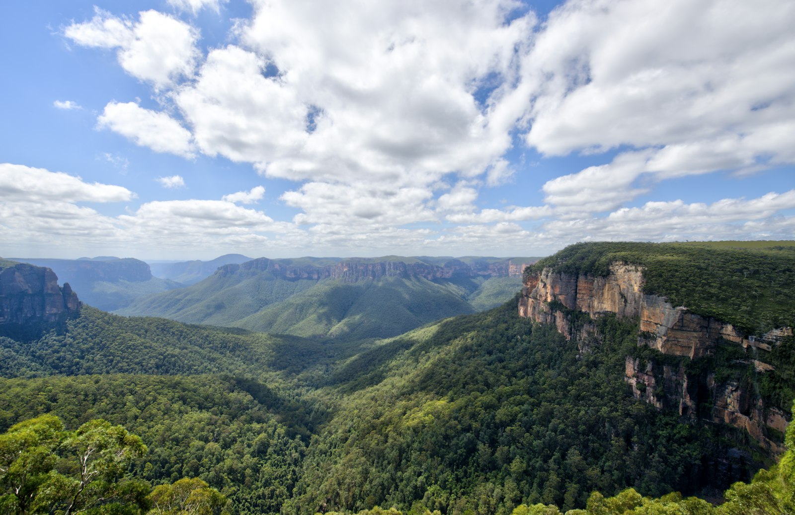 Sídney y la costa este de Australia - Imagen 5